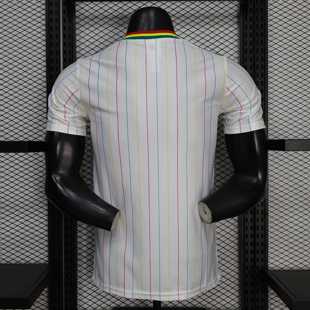 Player 2026 Senegal Casual style Football jersey