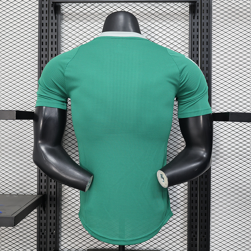 Player 2025-26 Algeria Special Edition Football jersey
