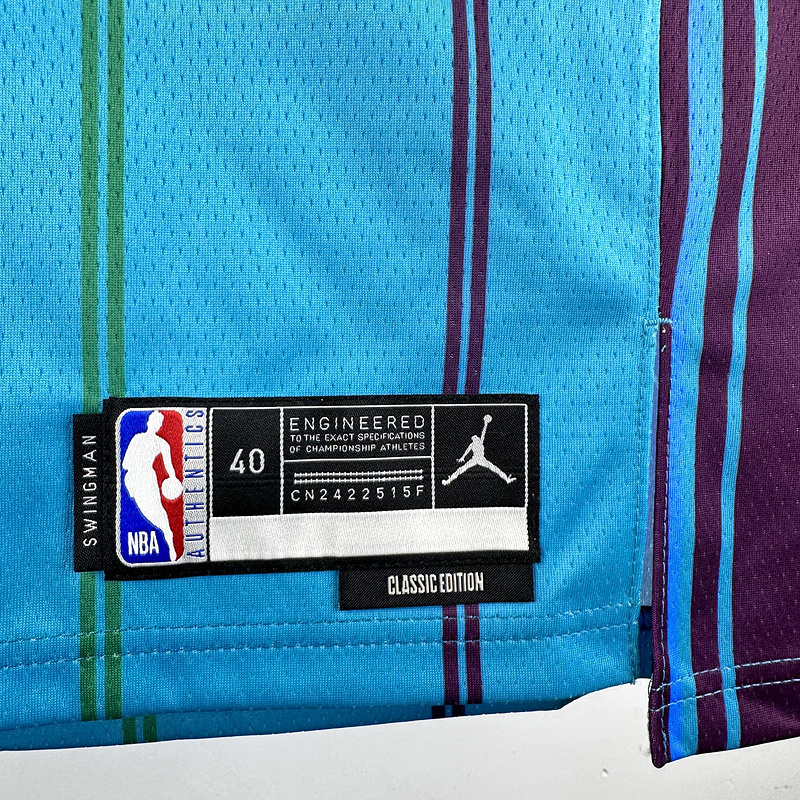 2024 NBA Charlotte Hornets (1 BALL) Basketball Jersey