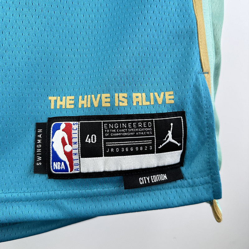2024 NBA Charlotte Hornets (1 BALL) Basketball Jersey
