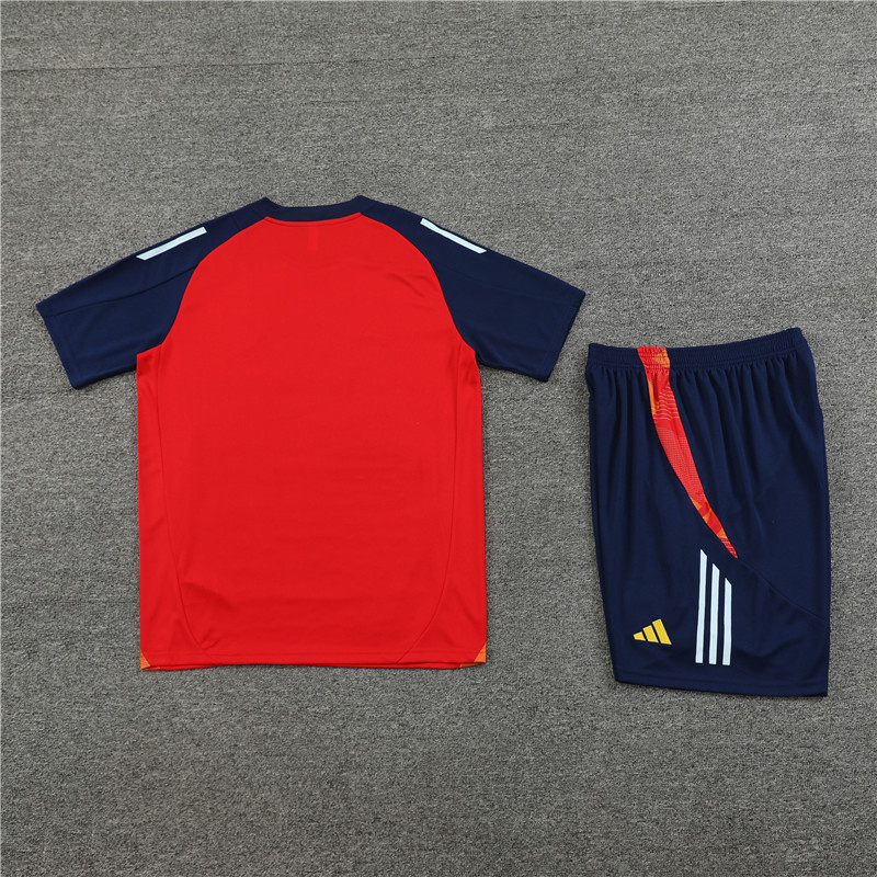 2024-25 Spain Short-sleeved training clothese