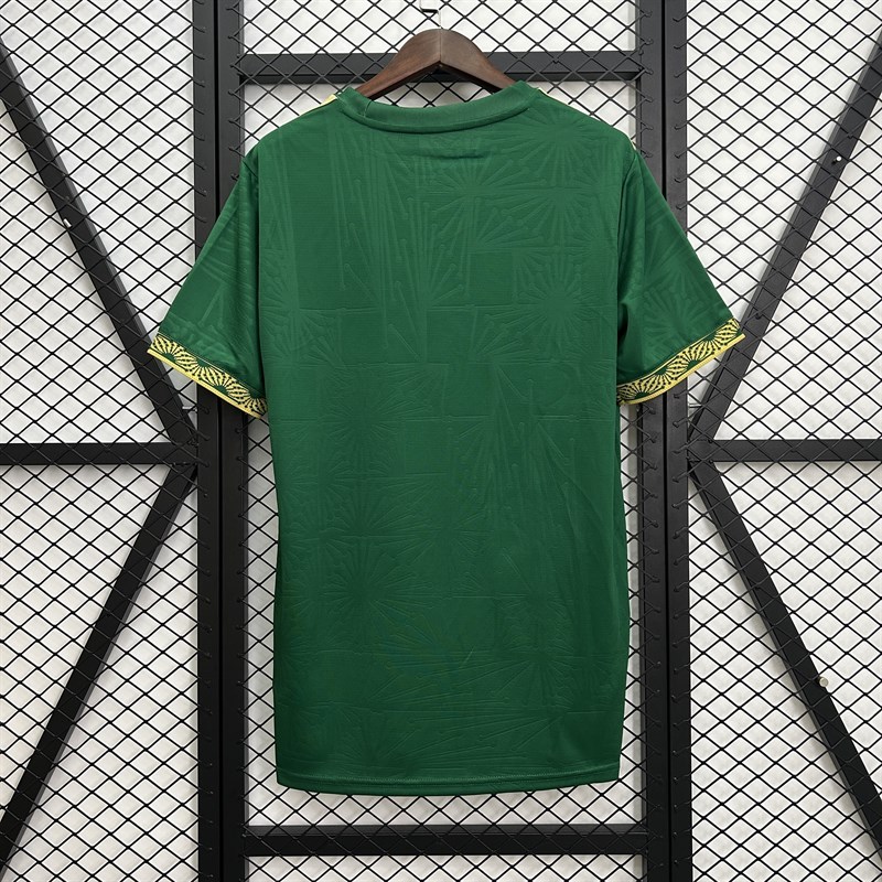 2025-26 Mexico Special Edition Football jersey