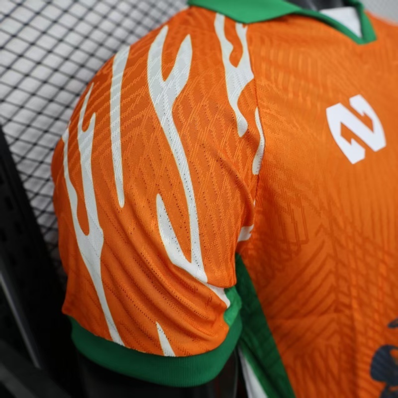 Player 2026 Côte d'Ivoire Special Edition Football jersey