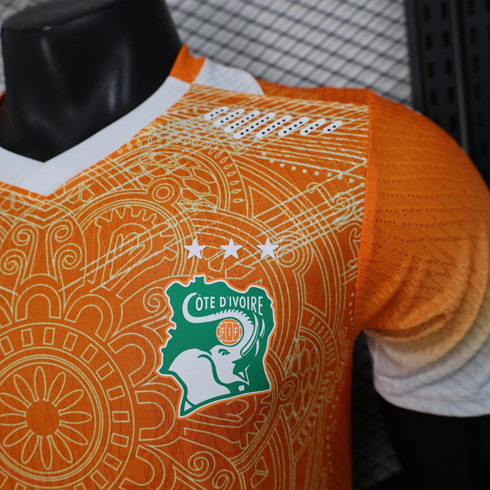 Player 2026 Côte d'Ivoire Special Edition Football jersey
