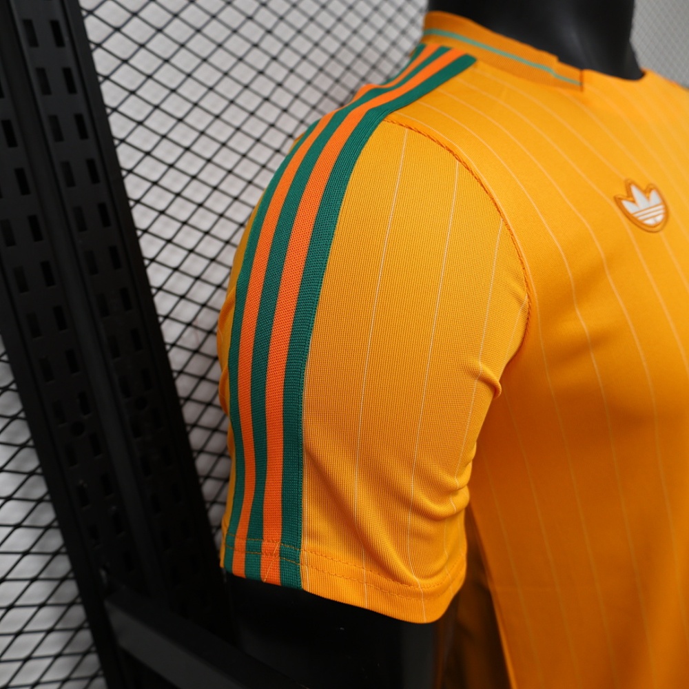 Player 2026 Côte d'Ivoire Casual style Football jersey