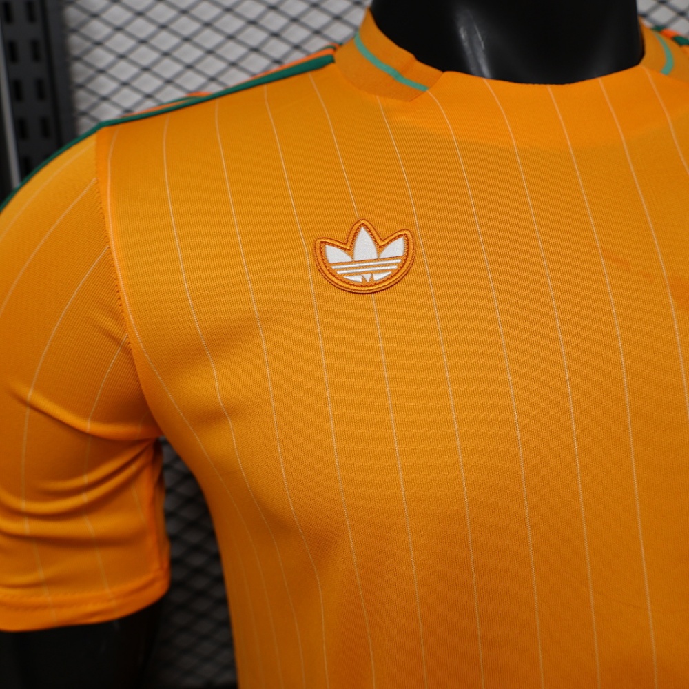 Player 2026 Côte d'Ivoire Casual style Football jersey