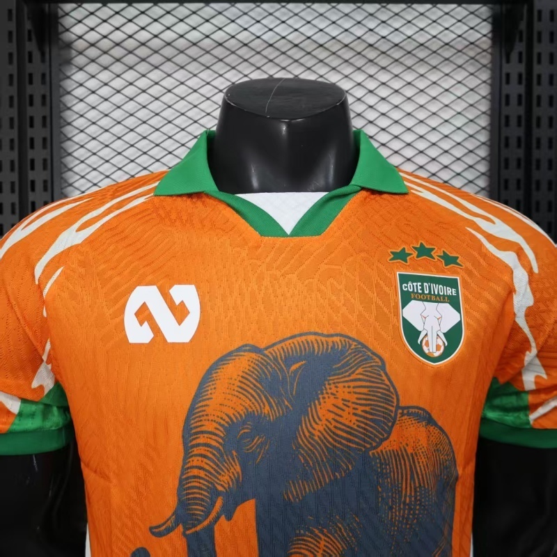Player 2026 Côte d'Ivoire Special Edition Football jersey