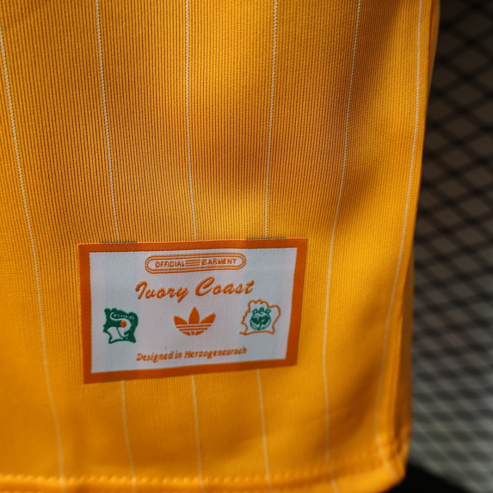 Player 2026 Côte d'Ivoire Casual style Football jersey