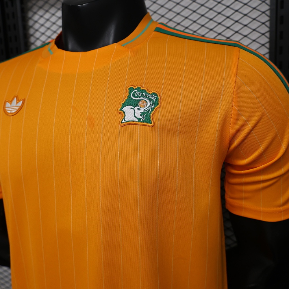 Player 2026 Côte d'Ivoire Casual style Football jersey
