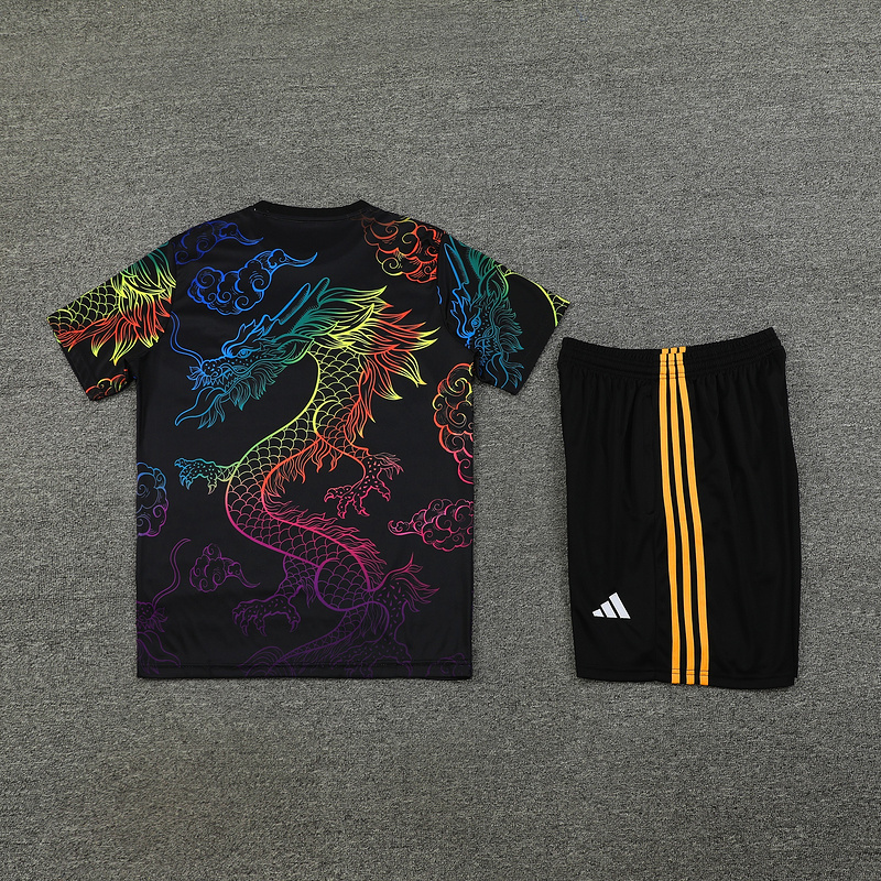 2024-25 Real Madrid Short Sleeve Training Wear