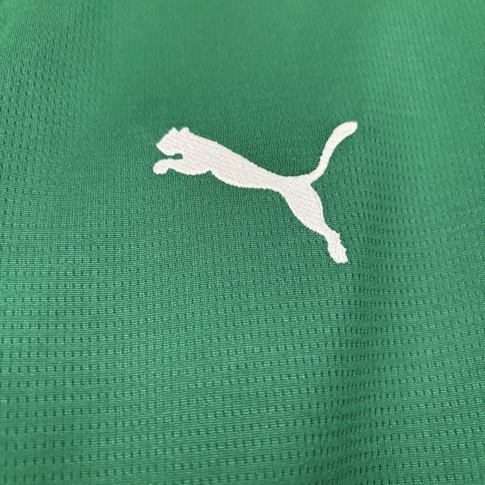 2026-27 Palmeiras Home Football jersey