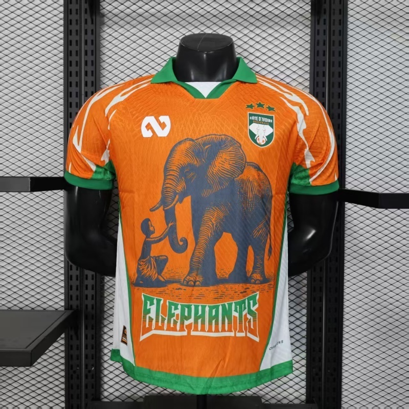 Player 2026 Côte d'Ivoire Special Edition Football jersey
