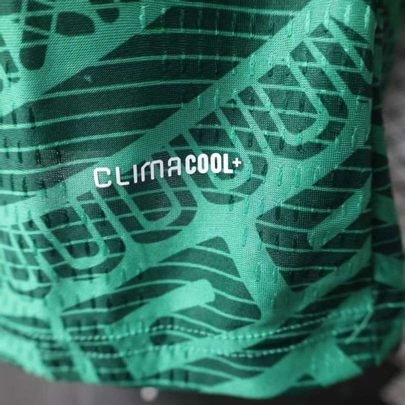 Player 2026 Mexico Home Football jersey