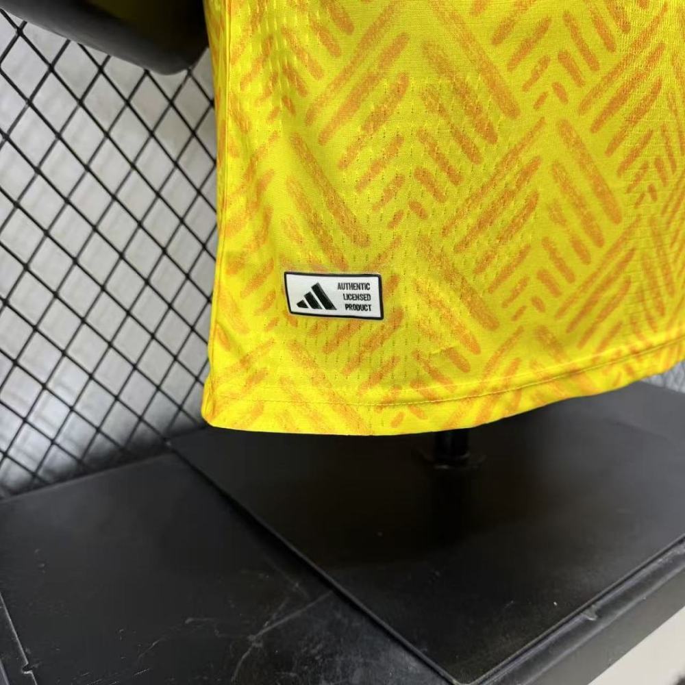 Player 2026 South Africa Home Football jersey