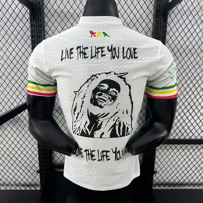 Player 2025-26 Ajax Special Edition Football jersey