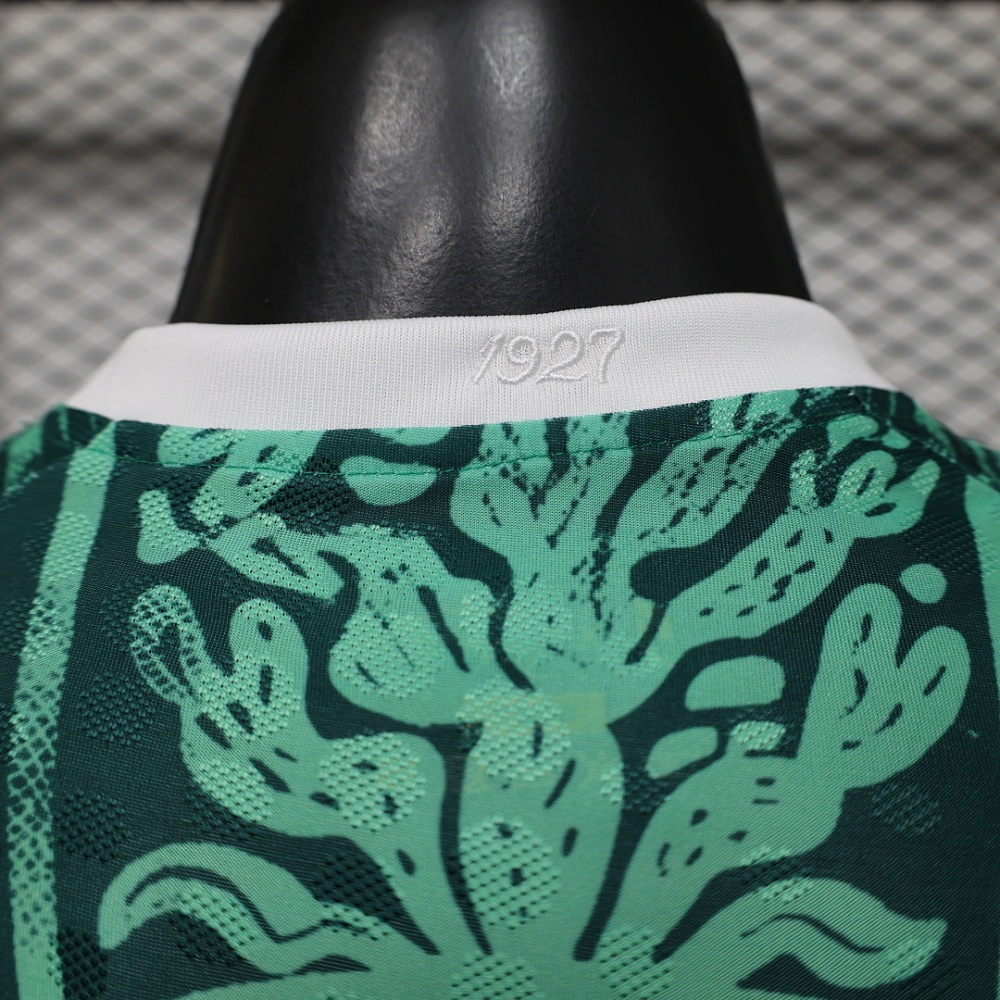 Player 2026 Mexico Special Edition Football jersey