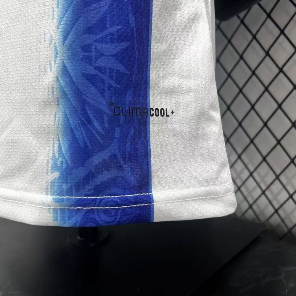 Player 2026 Argentina Special Edition Football jersey