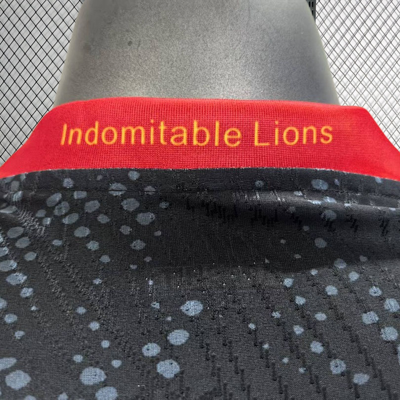 Player 2026 Cameroon Special Football jersey