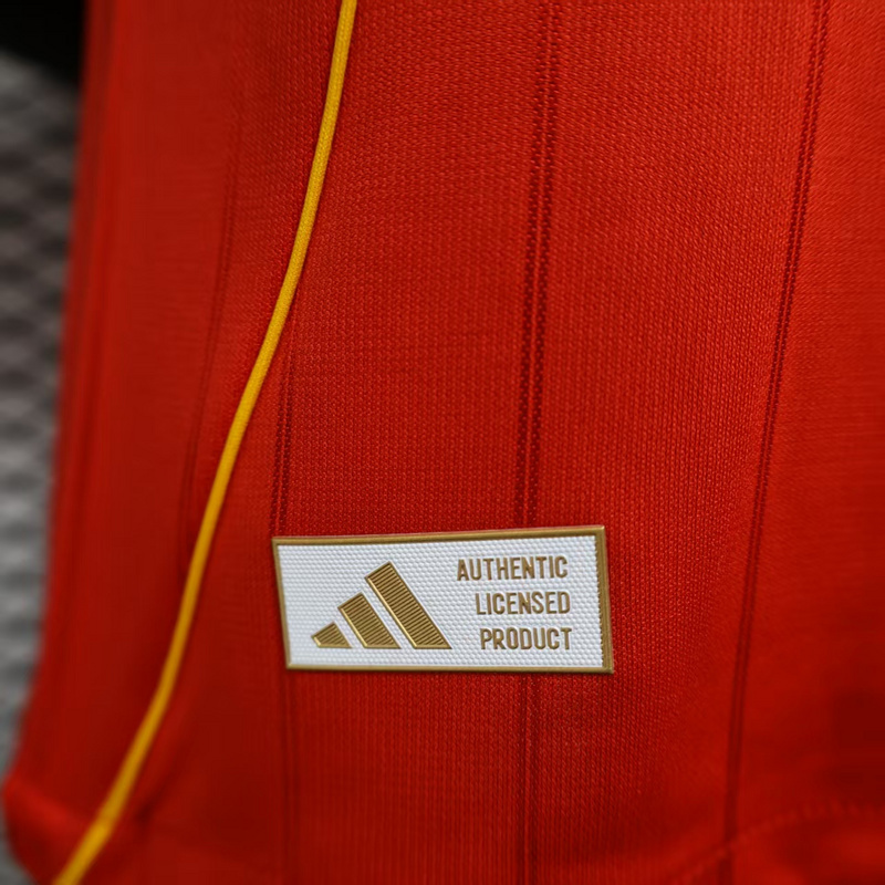 Player 2025-26 Al Ahly SC Home Football jersey Al Ahly FC