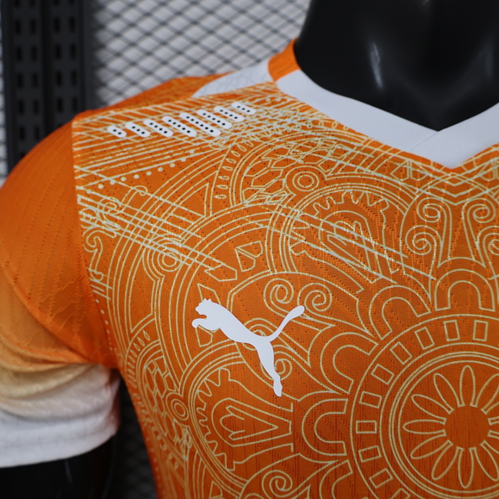 Player 2026 Côte d'Ivoire Special Edition Football jersey
