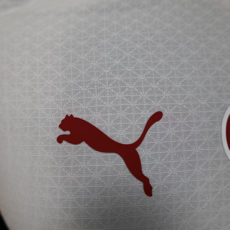 Player 2025-26 Galatasaray Away Football jersey