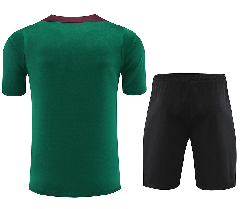 2024-25 PSG short-sleeved training clothes