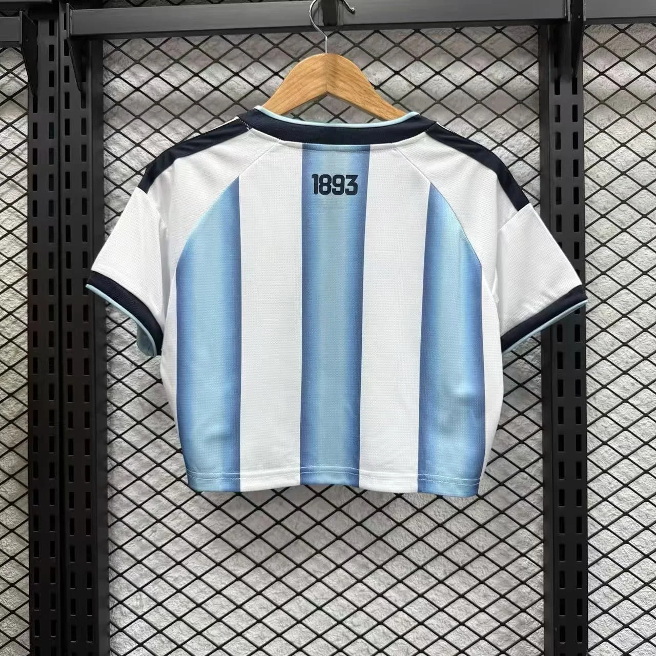 Women  2026 Argentina Home Football jersey