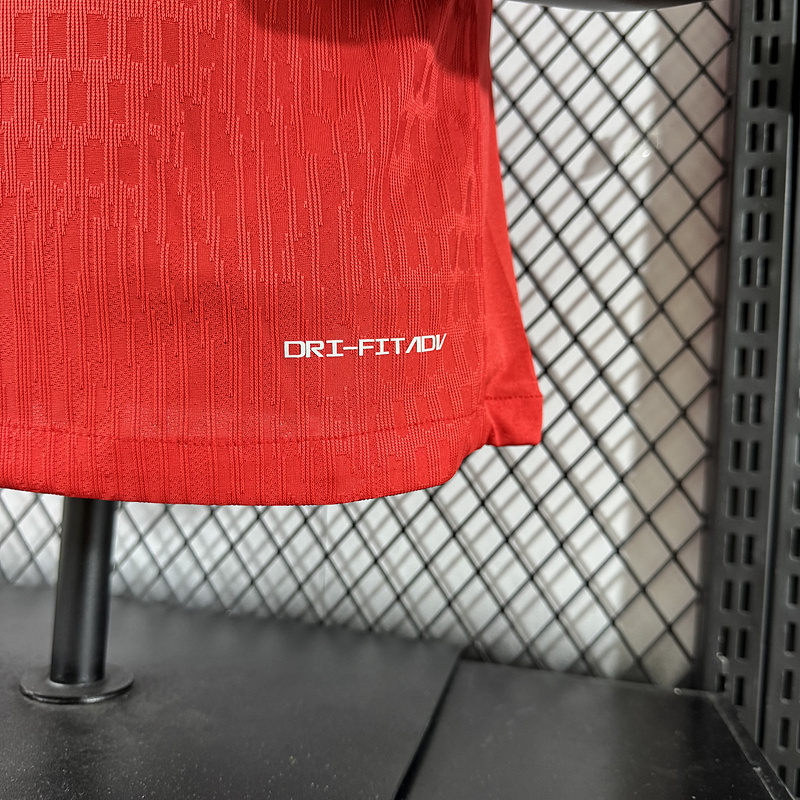 Player 2025-26 Norway Home Football jersey