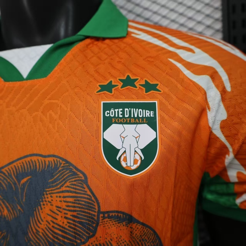 Player 2026 Côte d'Ivoire Special Edition Football jersey