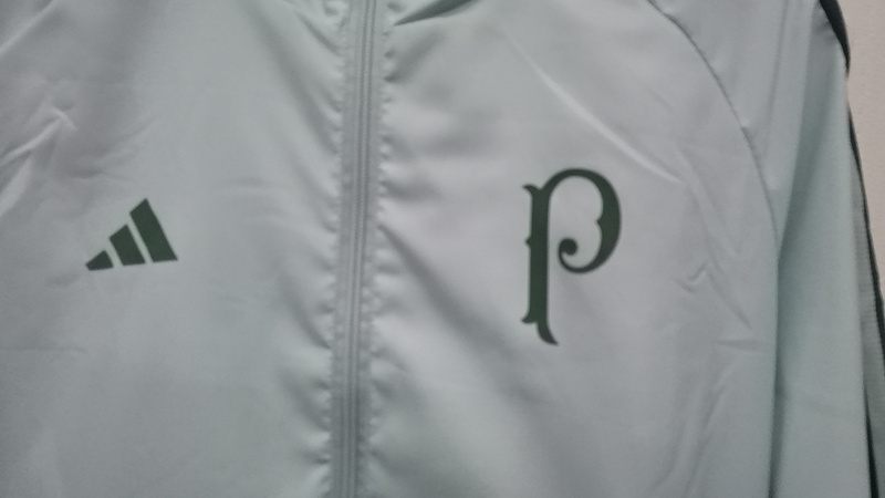 Windbreaker Palmeiras