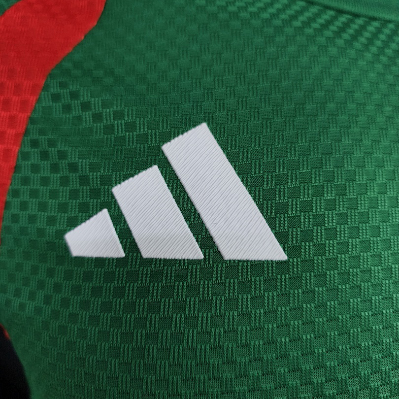 Player 2026 Algeria Special Edition Football jersey