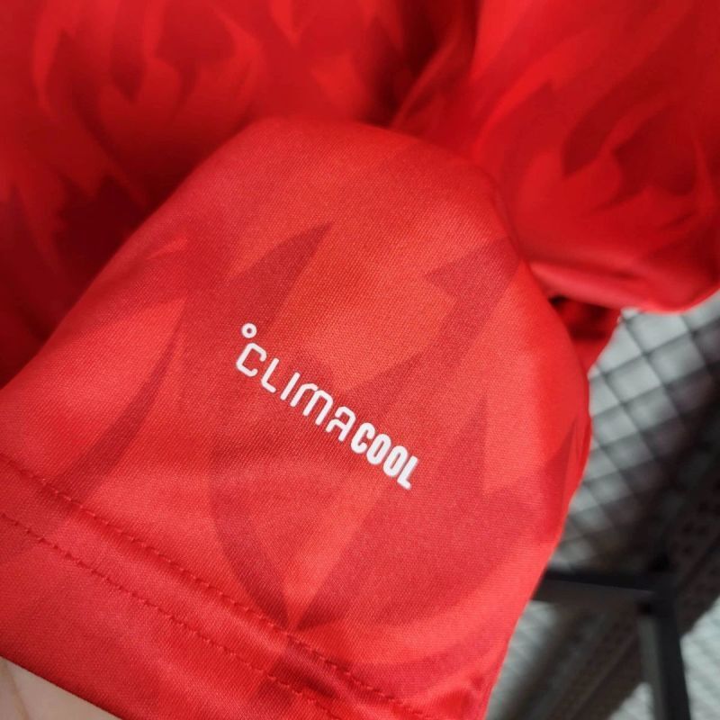 Player 2026 Belgium Special Edition Football jersey