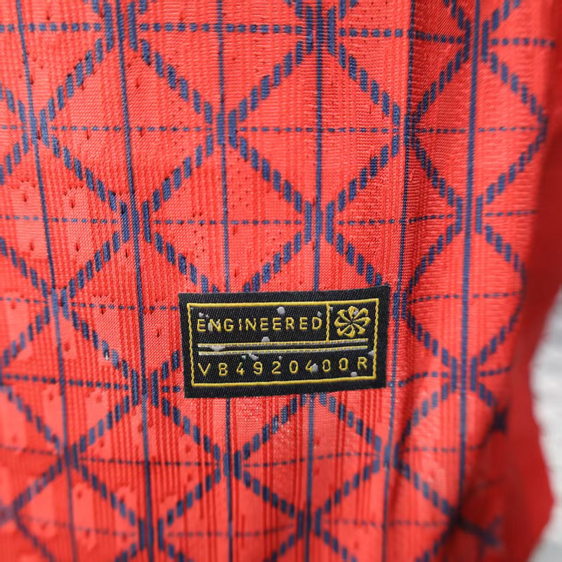 Player 2025-26 PSG Special Edition Football jersey