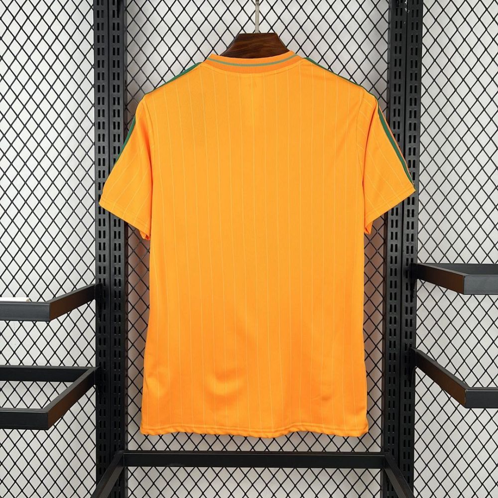 2026 Cameroon Casual style Football jersey