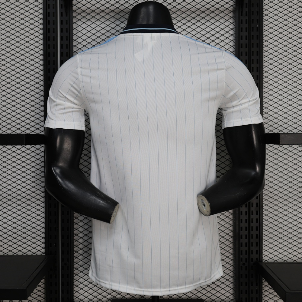 Player 2026 Argentina Casual style Football jersey