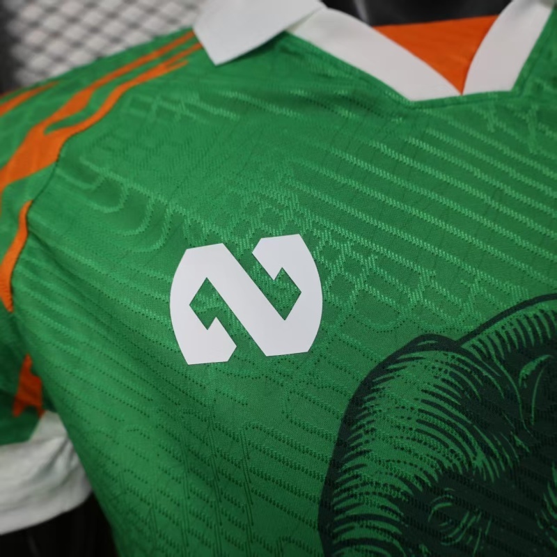 Player 2026 Côte d'Ivoire Special Edition Football jersey