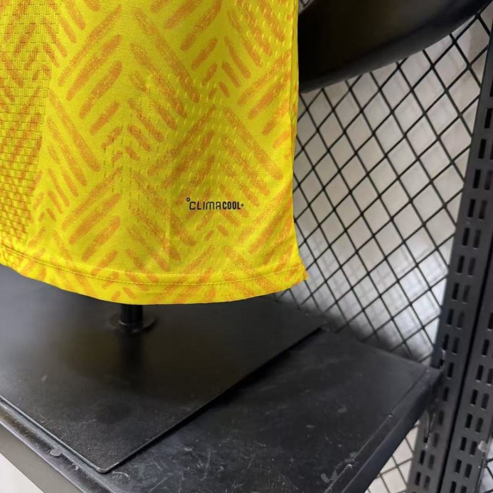 Player 2026 South Africa Home Football jersey