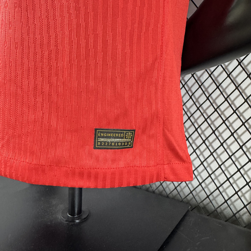 Player 2025-26 Norway Home Football jersey