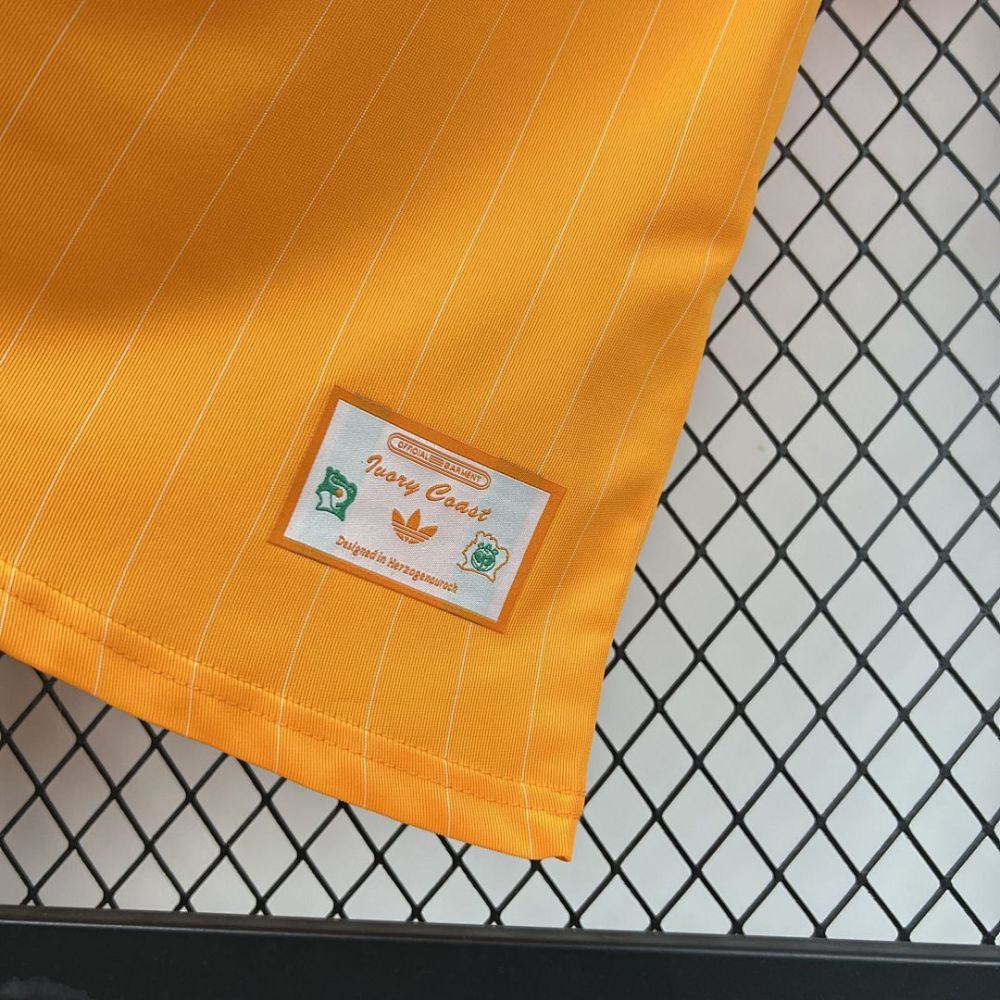 2026 Cameroon Casual style Football jersey