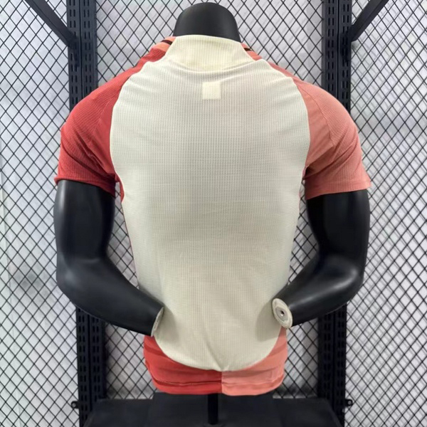 Player 2024-25 Lyon OL Third Away Football jersey