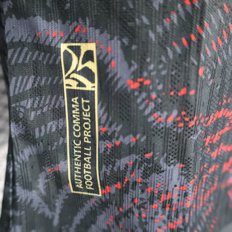 Player 2025-26 PSG Special Edition Football jersey