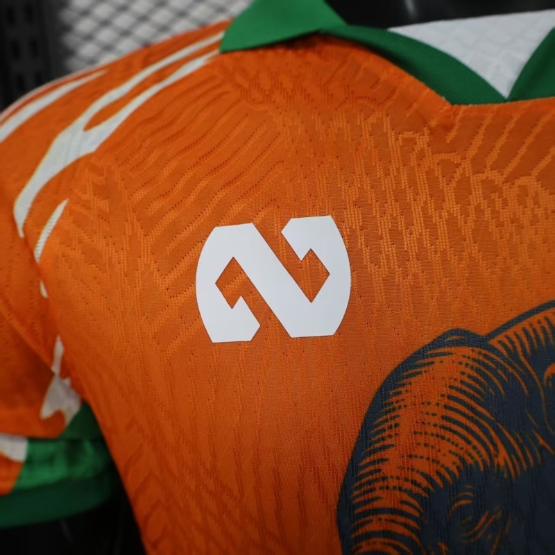 Player 2026 Côte d'Ivoire Special Edition Football jersey
