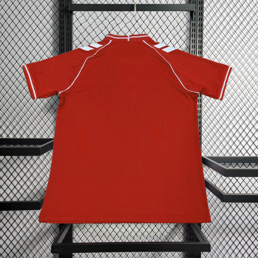 2026 Denmark Home Football jersey
