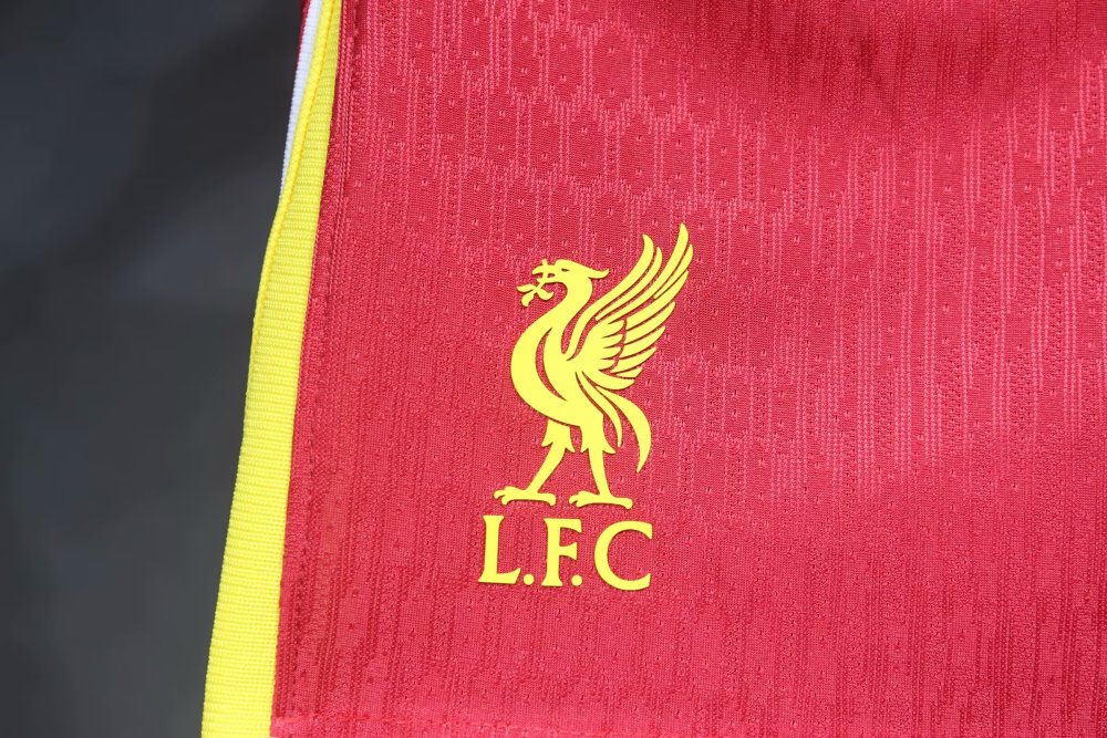 Player 2024-25 Shorts liverpool
