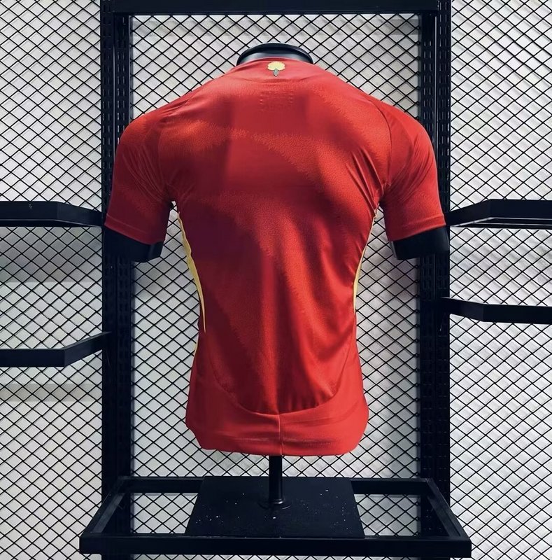 2024-25 Spain Euro Home Jersey Player Version
