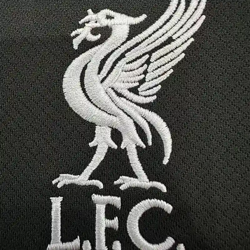 2024-25 Liverpool Away Soccer Jersey