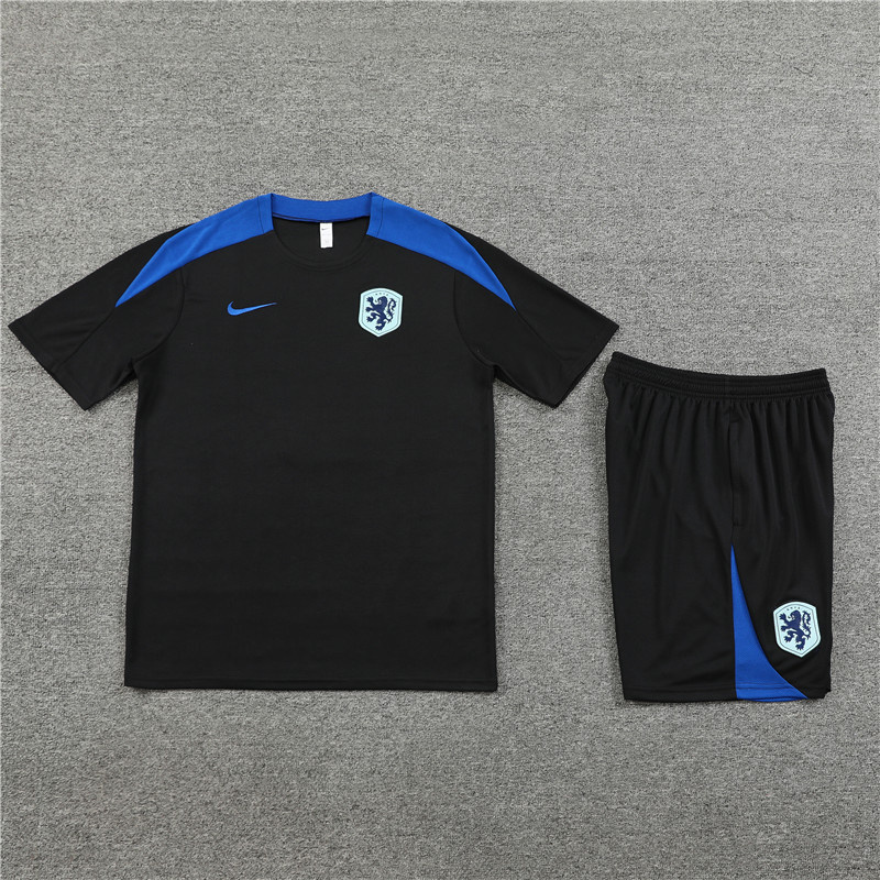 2024-25 Netherlands Short-sleeved training clothese