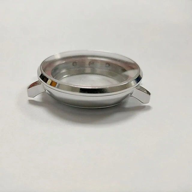 Stainless Steel Watch Cases