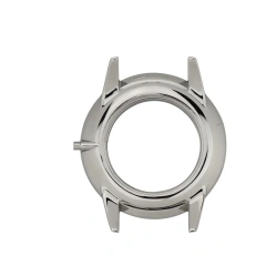 Stainless Steel Watch Cases （复制样式）