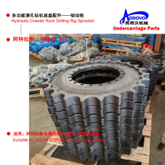 Drive Sprockets,MY SHOP,Drive Sprockets